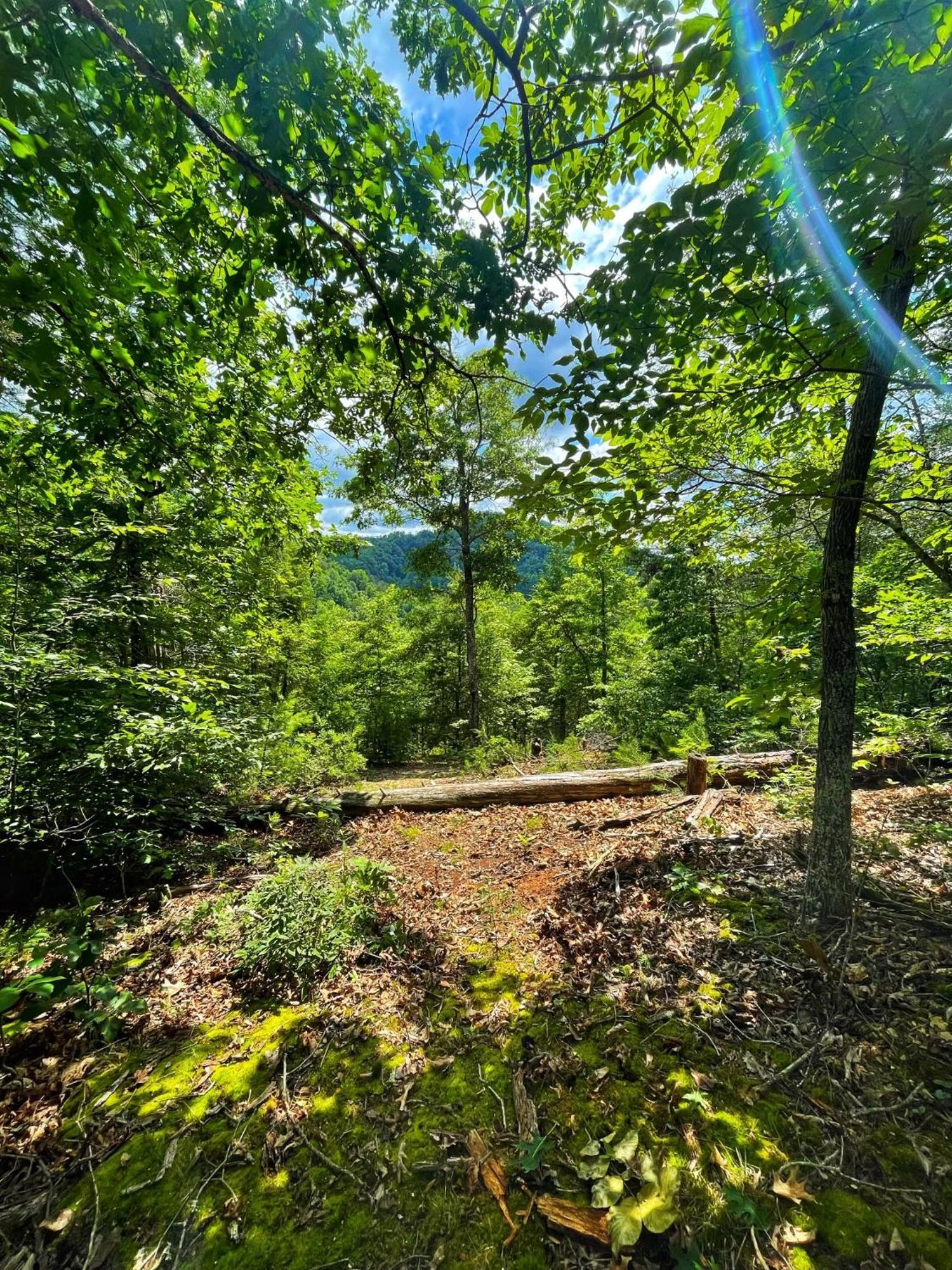 Tiny House, Wifi,Hot Tub,Secluded Villa Cosby Kültér fotó