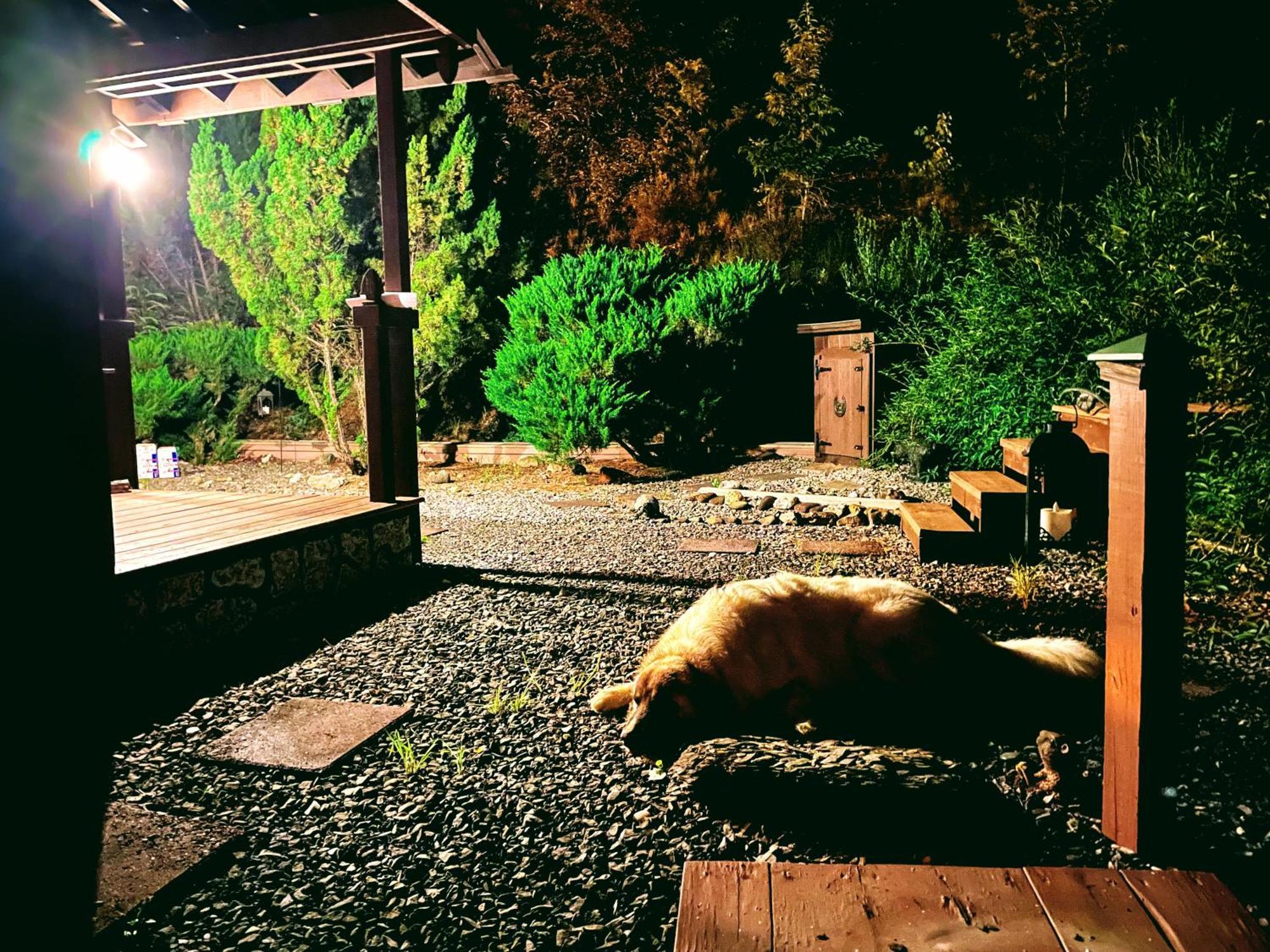 Tiny House, Wifi,Hot Tub,Secluded Villa Cosby Kültér fotó